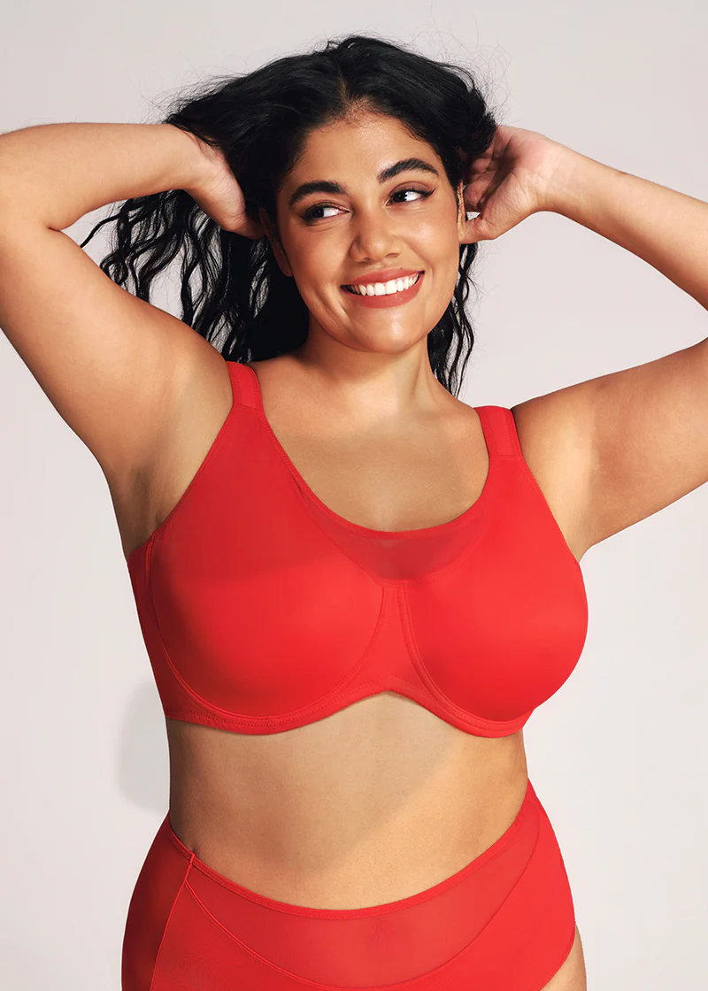(Xmas Gift Box) Mesh Minimizer Bra - Image 4